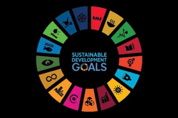 sustainable-goals